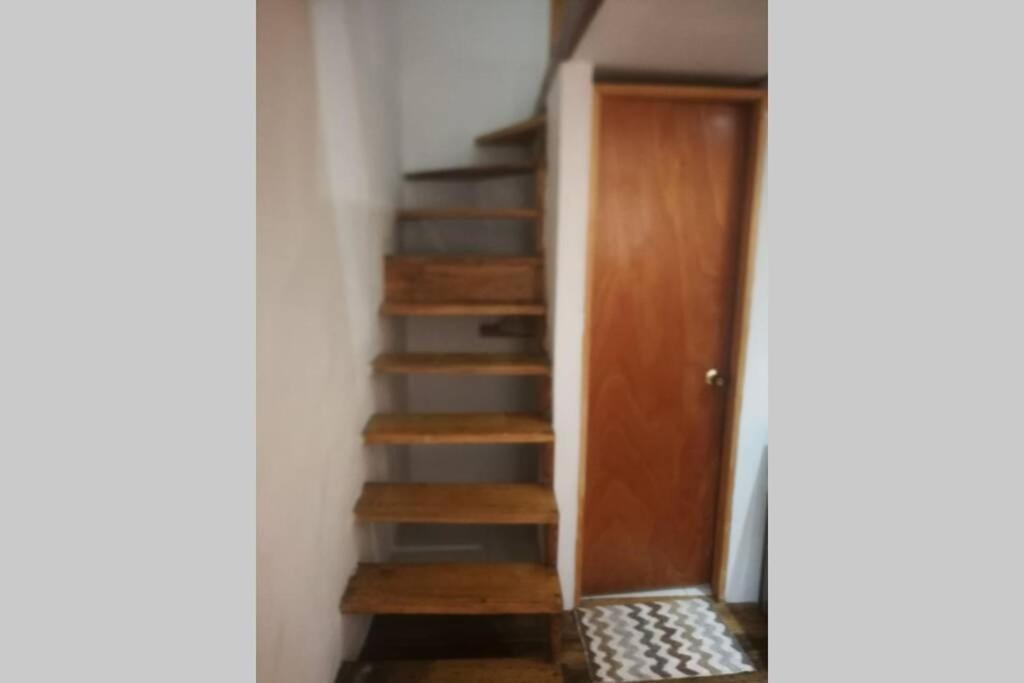 Apartamento Parrot House San Antonio Cali Exterior foto